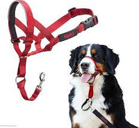 Company Of Animals - Halti Head Collar - Red
