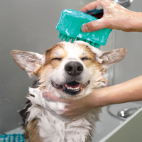 KONG - ZoomGroom Bubbles - Lrg