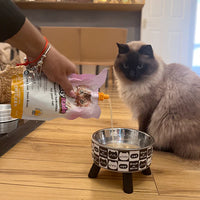 KittyRade - Isotonic Drink for Pets - 250ml