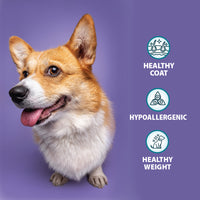 Burns - Sensitive Adult (Grain Free) Dog Food, Duck & Potato