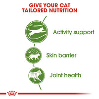 Royal Canin - Outdoor Cat 30 Kibble
