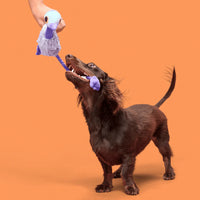 Bark - Adelaide Emu Dog Toy