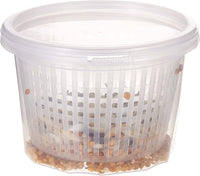 Rio - Food Supplement For Raising All Breeds Of Birds - 25g