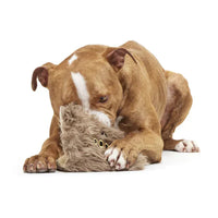 BARK - Harry Potter, Book of Monsters Dog Toy