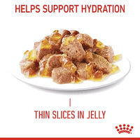 Royal Canin - Cat Urinary Care Pouch in Jelly, 85G