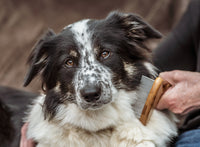 Mikki - Bamboo Anti Tangle Rake, Medium