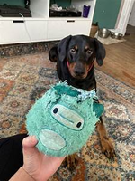 Bark - Aurora Beast Dog Toy