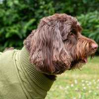 Ancol - SnugFit Cable Knit Jumper, Green