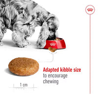 Royal Canin - Medium Adult Dog Food - 3kg