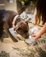 Rosewood - Prancer Penguin Dog Toy