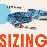 Doodlebone - Cat Harness & Lead, Tangerine/Reef