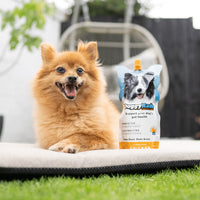 DoggyRade - Isotonic Drink for Pets, Chicken - 250ml