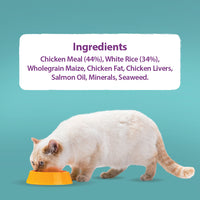 Burns - Kitten(Cat) Food, Chicken & Brown Rice