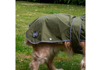 Ancol - Stormguard Soft Shell Coat, Khaki Green
