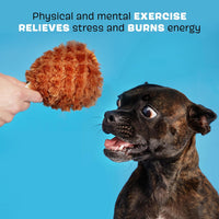 Bark - Tavern Turkey Leg Dog Toy