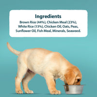 Burns - Puppy Mini, Chicken & Rice