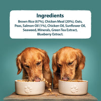 Burns - Alert Working Dog, Chicken & Rice
