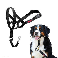 Company Of Animals - Halti Head Collar - Black