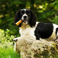 Patello - Yak Cheese with Banana Dog Chew - 155g