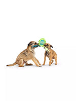 Bark - Juguete de cinta "Best In Show" de Crufts