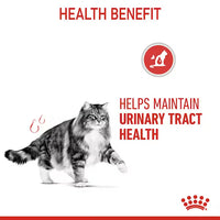 Royal Canin - Cat Urinary Care Pouch in Jelly, 85G
