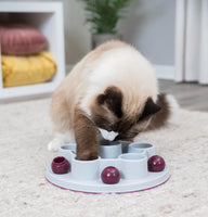 Trixie - Cat Activity Pentagon Strategy Game - 28 cm