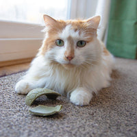 Rosewood - Cat Easter Egg - 45g