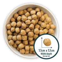 Burns - Sensitive Adult Dog Food, Duck & Rice