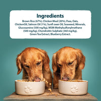 Burns - Senior+ Toy/Small Breed Dog, Chicken & Rice