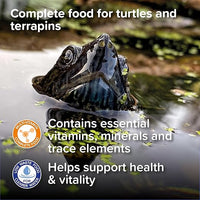King British - Turtle and terrapin - Food sticks - 90g