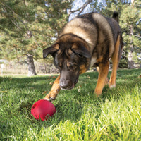 KONG - Ball with Hole - XLrg