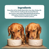 Burns - Senior+ Med/Lrg Breed Dog, Chicken & Rice