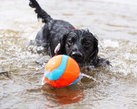 Chuckit! - Amphibious Mega Ball
