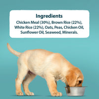 Burns - Original Puppy Food, Chicken & Rice