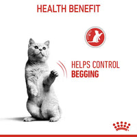 Royal Canin - Appetite Control Care Pouch in Gravy, 85g