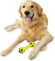 Nerf Dog - Rubber Wrapped Bash Barbell, Green