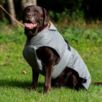 Ancol - Ultimate Reflective Dog Coat