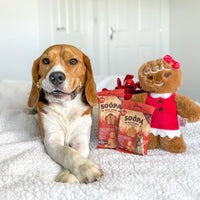 Soopa - Gingerbread Healthy Bites