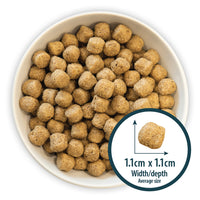Burns - Adult Sensitive Dog Food, Pork & Potato