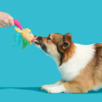 BARK - AHI TINA Fish Dog Toy