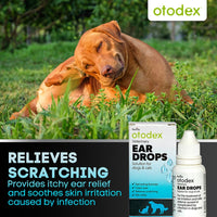 Petlife -Otodex Ear Drops - 14ml