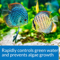 API - Prevent Algae