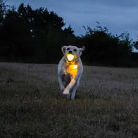 Ancol - Rechargaeble LED Ball, Yellow