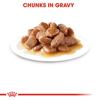 Royal Canin - Ageing Cat +12 In Gravy, 85G Pouch