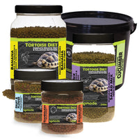 Komodo - Tortoise Diet, Dandelion