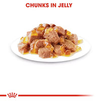 Royal Canin - Ageing Cat +12 In Jelly, 85g Pouch