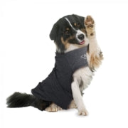 All For Paws - Calm Paws Dog Anti Anxiety Vest - Large