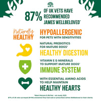James Wellbeloved Senior Dog, Fish & Rice