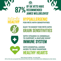 James Wellbeloved Senior Dog, Grain Free Lamb