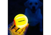 Ancol - Rechargaeble LED Ball, Yellow